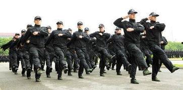 最新营口辅警爆料,揭秘背后真相与内幕  第1张